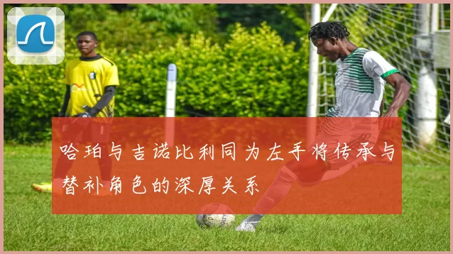 哈珀与吉诺比利同为左手将传承与替补角色的深厚关系